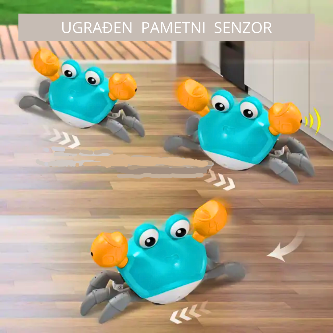 Muzička kraba-2 u 1 edukativna igračka