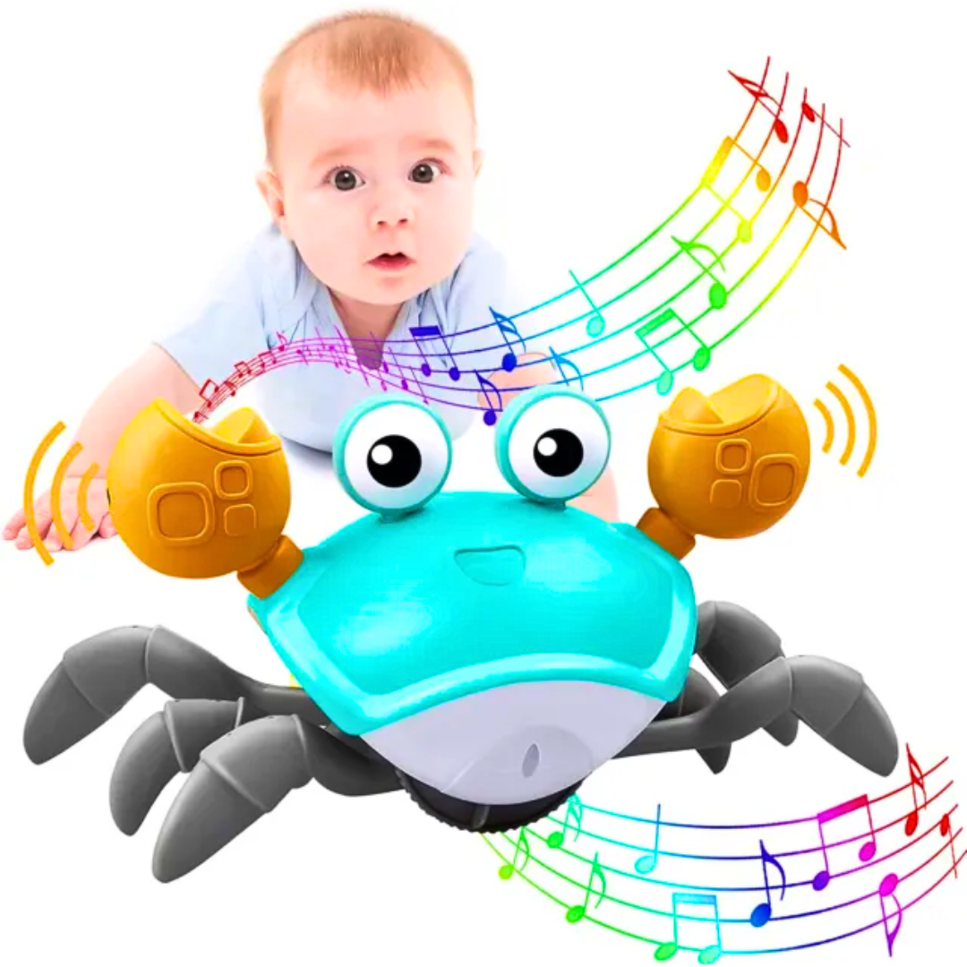 Muzička kraba-2 u 1 edukativna igračka
