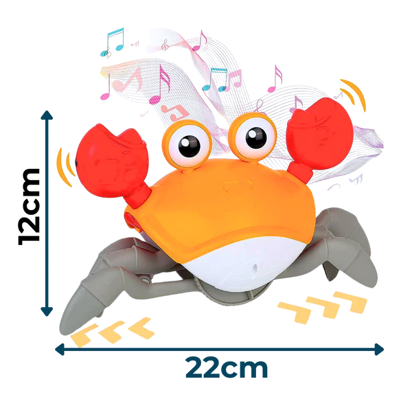 Muzička kraba-2 u 1 edukativna igračka