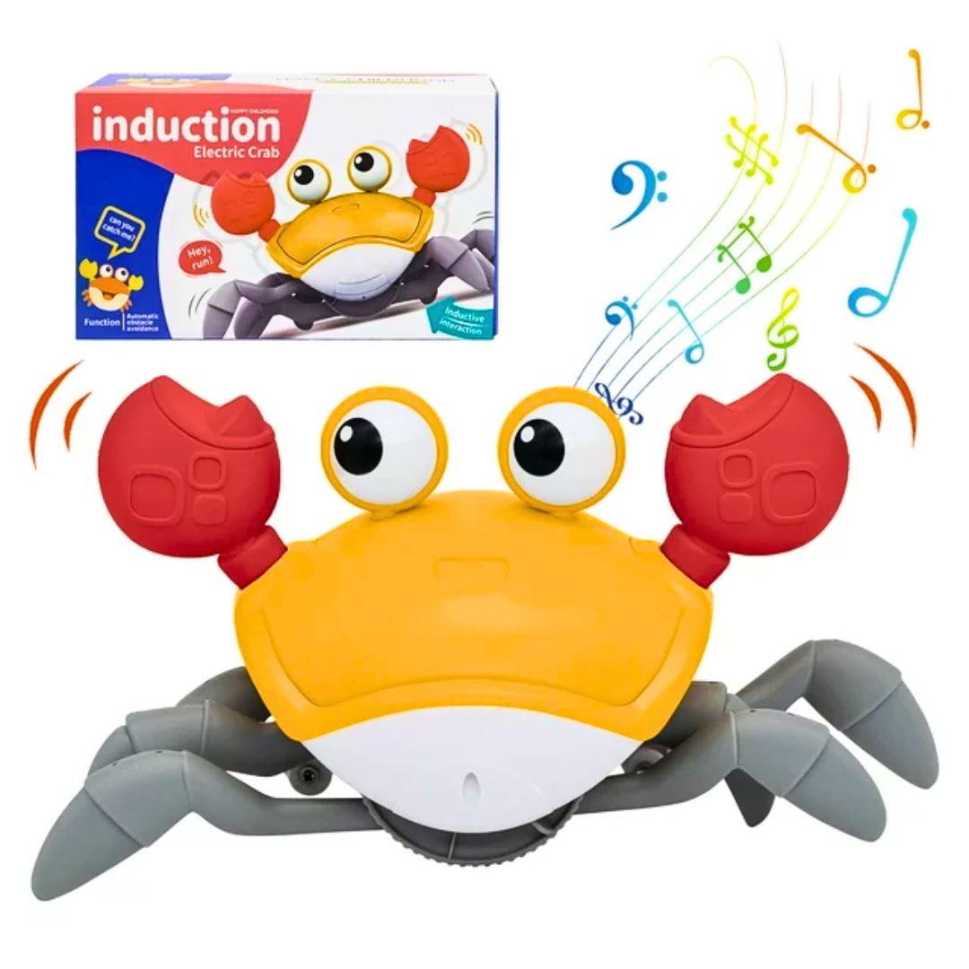 Muzička kraba-2 u 1 edukativna igračka