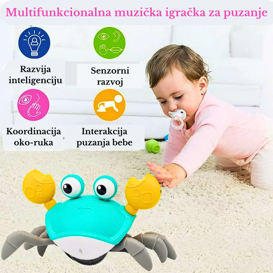 Muzička kraba-2 u 1 edukativna igračka