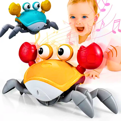 Muzička kraba-2 u 1 edukativna igračka