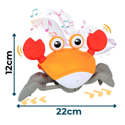 Muzička kraba-2 u 1 edukativna igračka